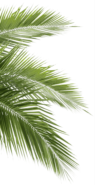 Left decoration